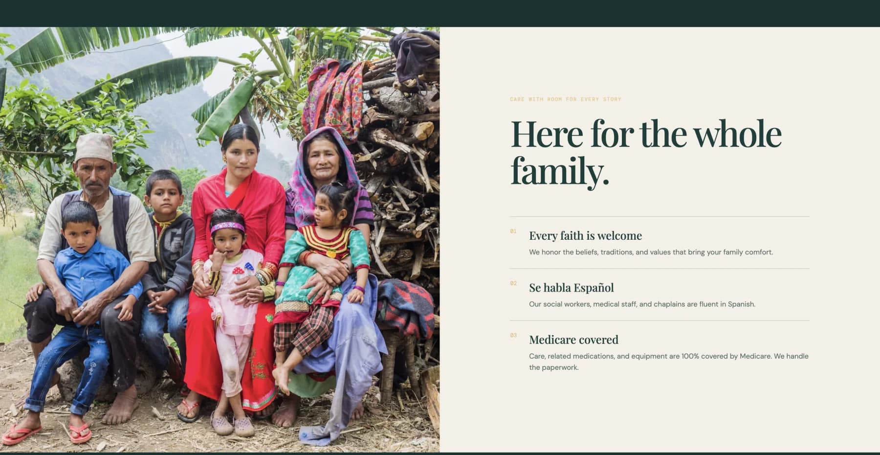 In-progress Ave Maria Hospice page section about support for the whole family